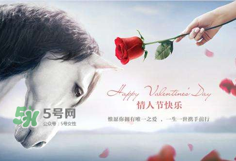 roseonly怎么樣？roseonly好看嗎？