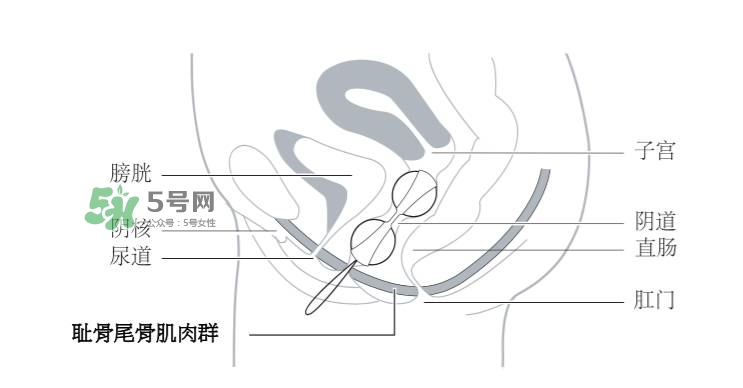 lelo露娜球如何使用方法？露娜球使用感受