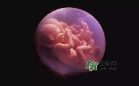 多胞胎是怎么生產(chǎn)的？多胞胎應選擇什么分娩方式