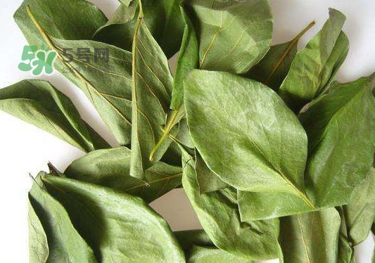 怎樣制作柿子葉茶？柿子葉茶的做法