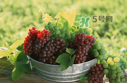 秋天成熟的水果有哪些？秋天吃水果有哪些禁忌