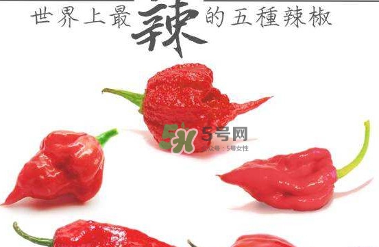 卡羅萊納死神辣椒中國(guó)有嗎？死神辣椒哪里有賣