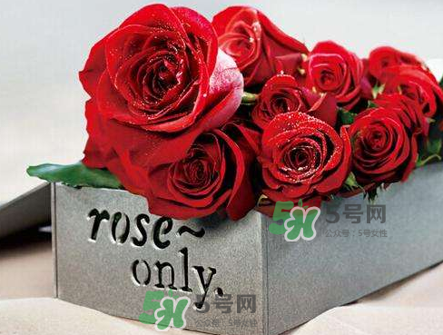roseonly怎么看真假？roseonly真假對(duì)比