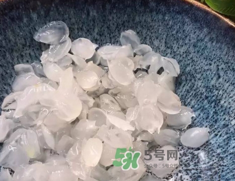 皂角米可以直接煮嗎？皂角米和什么一起煮好