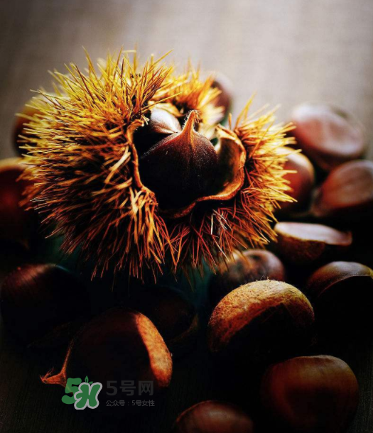 板栗能補(bǔ)腎嗎？板栗補(bǔ)腎陰還是腎陽(yáng)？