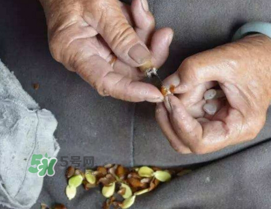 皂角米是怎么剝出來的？皂角米是酸性還是堿性