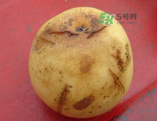 皇冠梨雞爪病能吃嗎？皇冠梨雞爪病怎么辦？