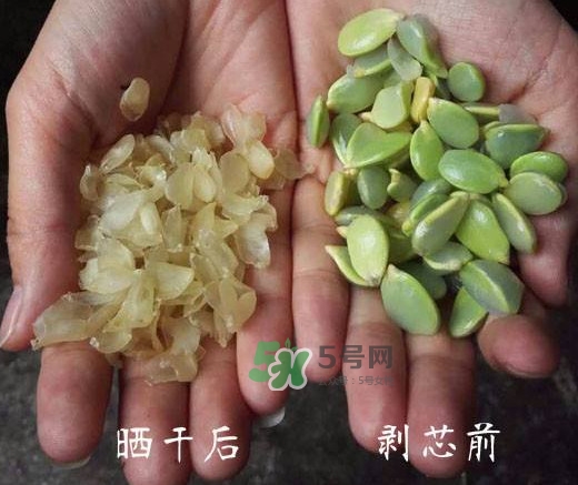 皂角米是什么味道？皂角米是什么顏色