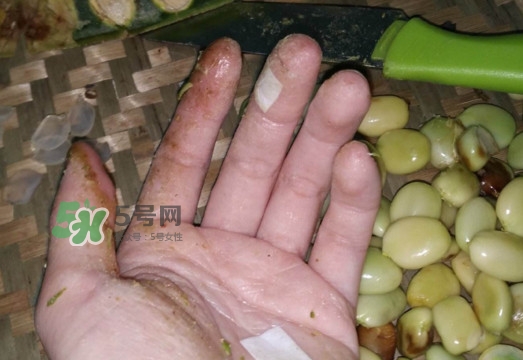 皂角米是怎么剝出來的？皂角米是酸性還是堿性