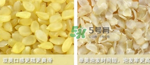 皂角米吃了有什么好處？皂角米的功效與作用