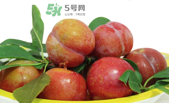 芙蓉李多少錢一斤？芙蓉李價(jià)格