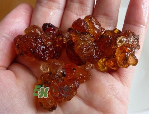 桃膠哪里有賣的？哪里產(chǎn)的桃膠最好