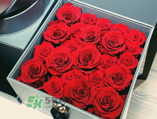roseonly怎么買？roseonly如何買第二次？