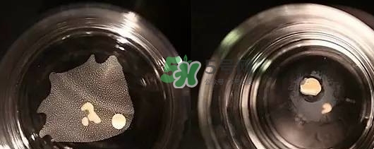 資生堂智能持久粉底液怎么樣？資生堂智能粉底液怎么用