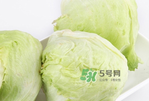 球生菜的營養(yǎng)價值_球生菜的功效與作用及食用方法 球生菜的營養(yǎng)價值_球生菜的功效與作用及食用方法