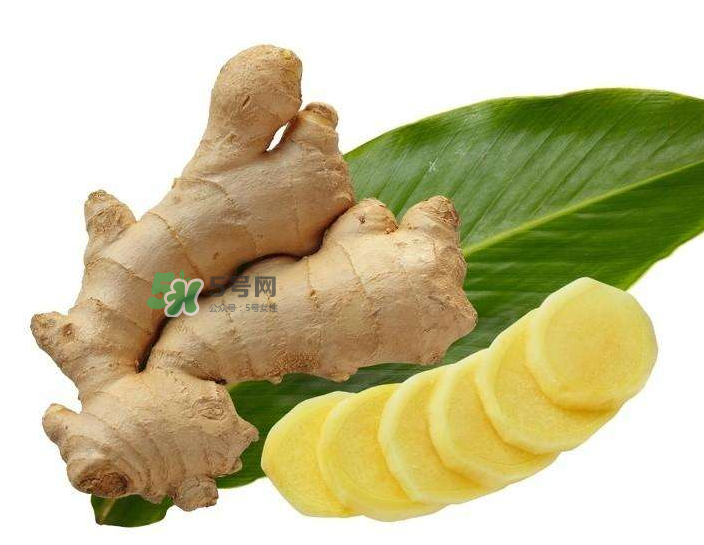 胃病患者可以長期食用生姜嗎？胃不好能不能吃姜？
