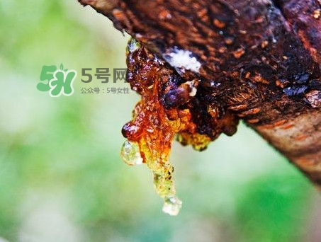 桃膠是發(fā)物嗎？桃膠是中藥嗎