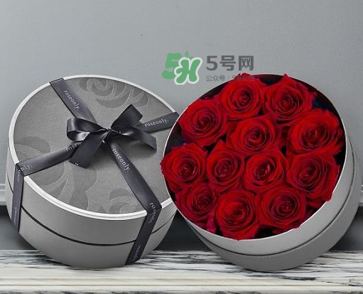 roseonly怎么讀？roseonly怎么讀在線讀？