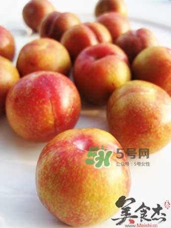 芙蓉李甜嗎？芙蓉李好吃嗎？