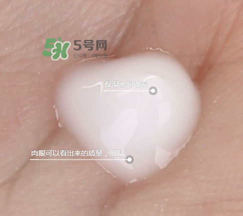 蘭芝新水酷特潤(rùn)乳霜多少錢？蘭芝新水酷特潤(rùn)乳霜價(jià)格