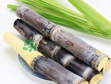 甘蔗什么時(shí)候成熟？甘蔗什么時(shí)候上市