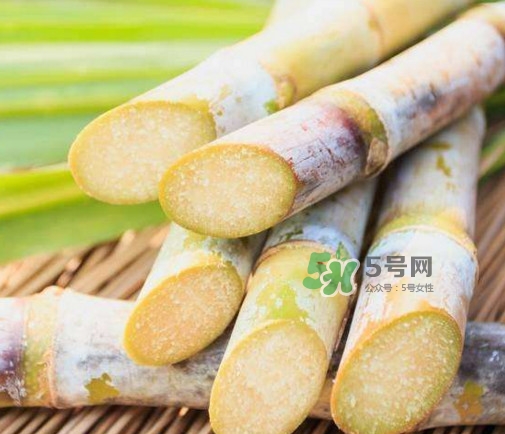甘蔗是酸性還是堿性？甘蔗是水果嗎