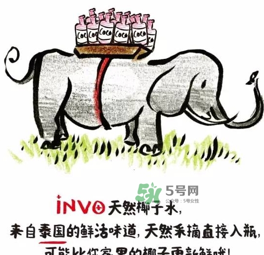 invo椰子水多少錢？invo椰子水好喝嗎？