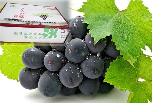戶太八號(hào)什么時(shí)候成熟？戶太八號(hào)幾月份成熟？