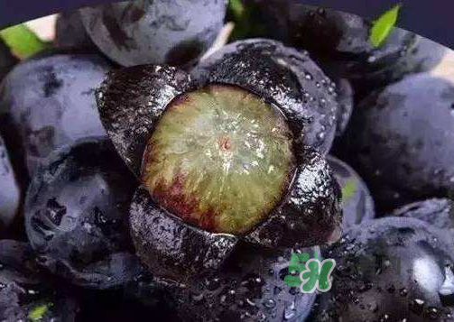 戶太八號(hào)多少錢一斤？戶太八號(hào)為什么在全國(guó)很有名？