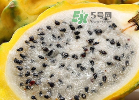 黃龍果的熱量 黃龍果可以減肥嗎？