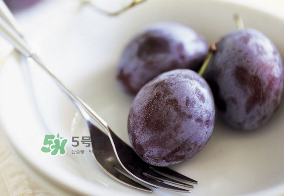 西梅怎么挑選？新鮮西梅怎么保存