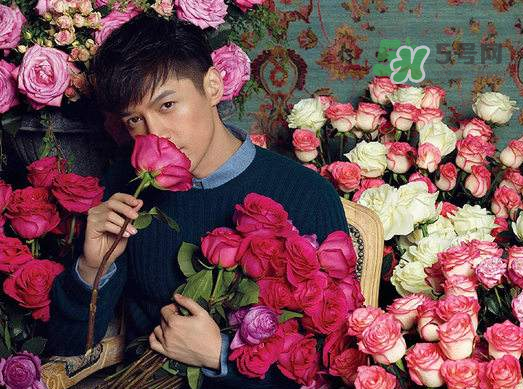 野獸派和roseonly哪個(gè)好？野獸派和roseonly區(qū)別