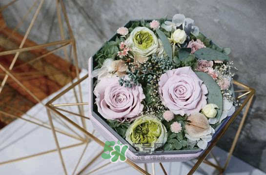 野獸派永生花會(huì)死嗎？野獸派永生花是什么？