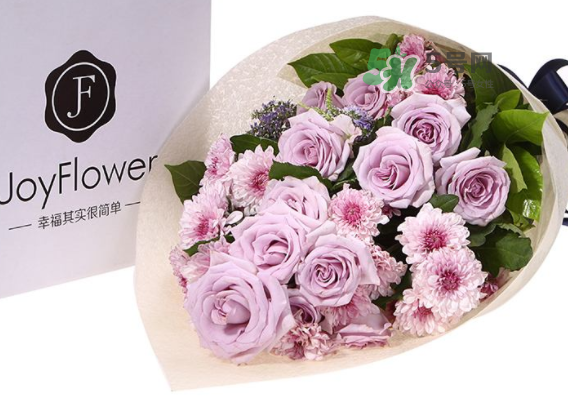 joyflower是哪國品牌？joyflower怎么樣？