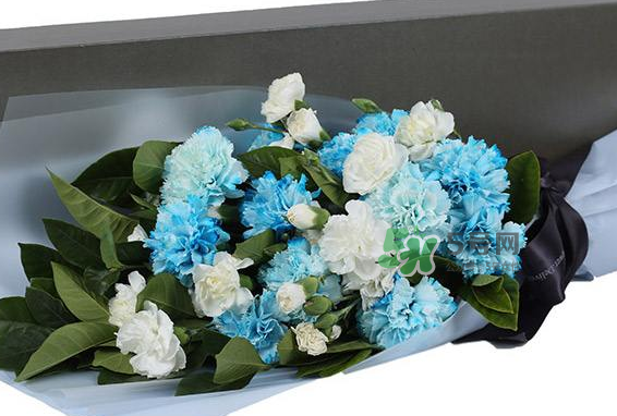 joyflower是哪國品牌？joyflower怎么樣？