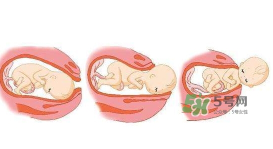 胎兒什么時候入盆？胎兒入盆后胎動會減少嗎？