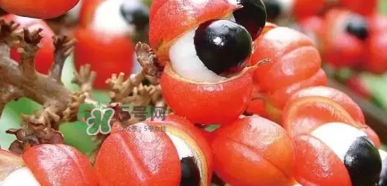 黑卡飲料多少錢一瓶？黑卡6小時(shí)價(jià)格表
