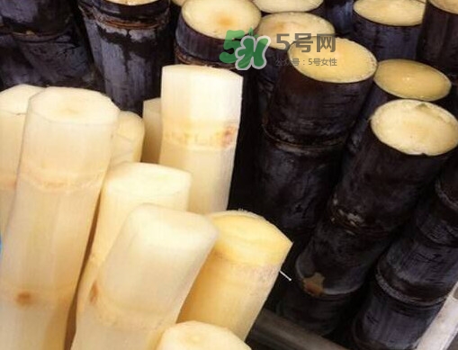 甘蔗是哪里的特產(chǎn)？甘蔗是什么地方的特產(chǎn)