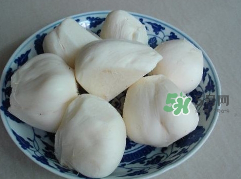 涼薯是什么東西？涼薯是地瓜嗎？