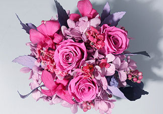 joyflower是哪國品牌？joyflower怎么樣？