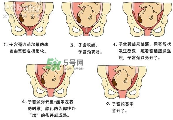 生孩子的過程是怎樣的？生孩子的真實過程