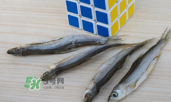 刁子魚是發(fā)物嗎？刁子魚是不是發(fā)物
