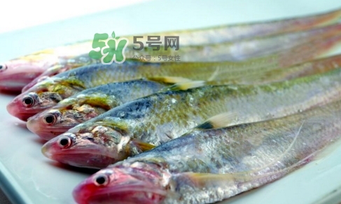 刁子魚(yú)是秋刀魚(yú)嗎？刁子魚(yú)是海魚(yú)嗎？