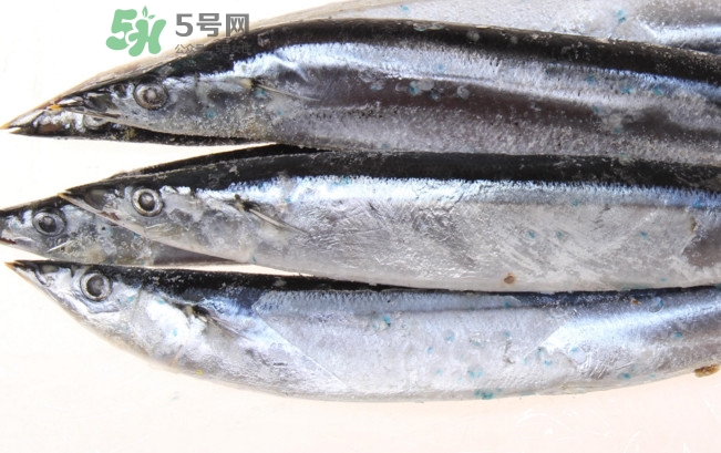 秋刀魚是海魚嗎？秋刀魚是淡水魚還是海魚