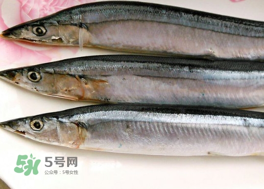 秋刀魚是不是鲅魚？秋刀魚和鲅魚的區(qū)別