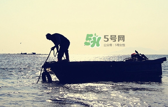 剝皮魚孕婦可以吃嗎？懷孕可以吃剝皮魚嗎？