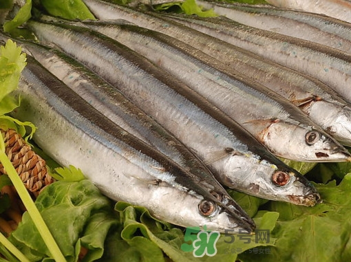秋刀魚(yú)為什么那么便宜？秋刀魚(yú)為什么叫秋刀魚(yú)