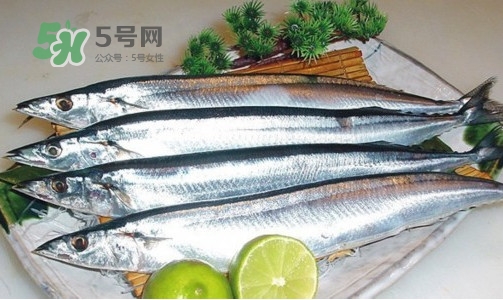 沙丁魚(yú)和秋刀魚(yú)有什么不一樣？秋刀魚(yú)和沙丁魚(yú)的區(qū)別