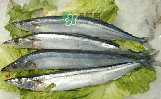 秋刀魚(yú)為什么那么便宜？秋刀魚(yú)為什么叫秋刀魚(yú)