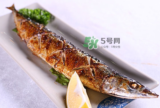 秋刀魚怎么處理？秋刀魚怎么挑選